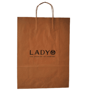 Paper Box Bag (Standard)