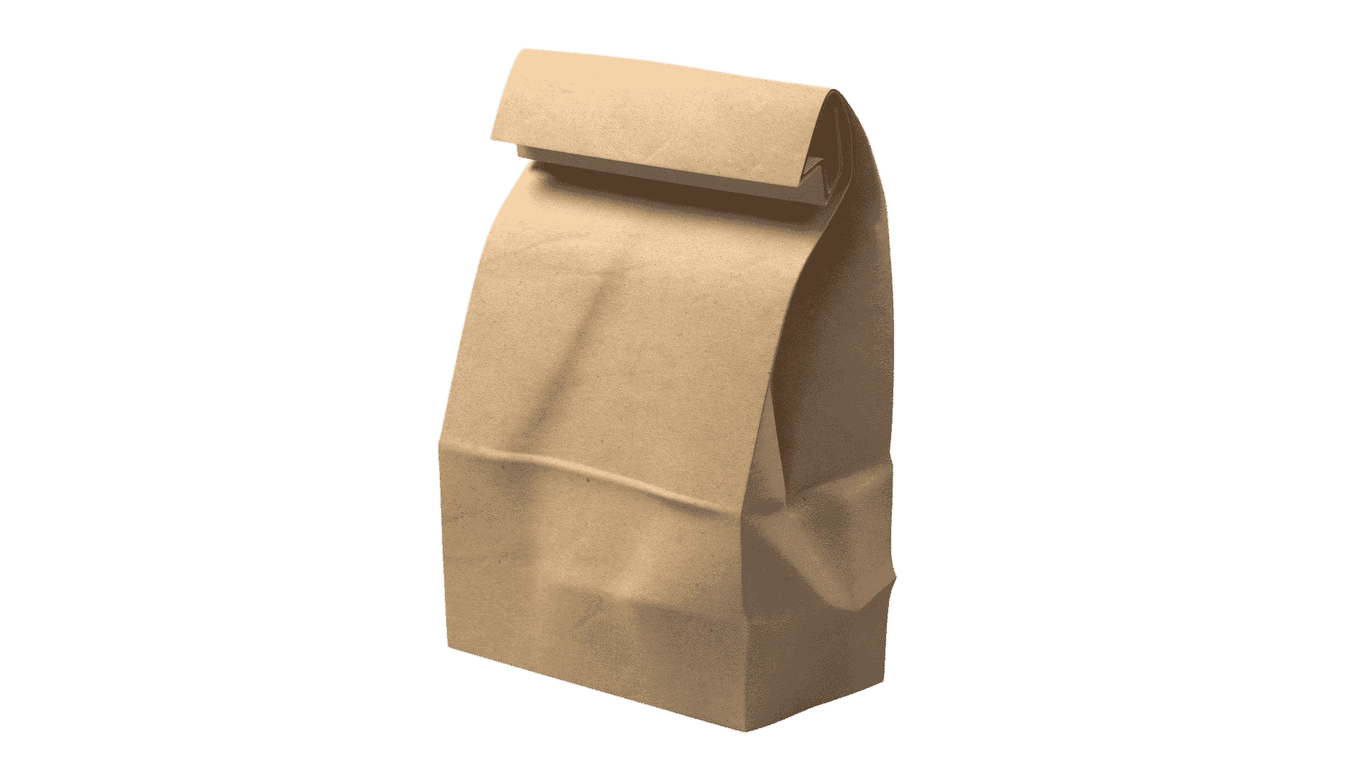 Paper Parcel Bag