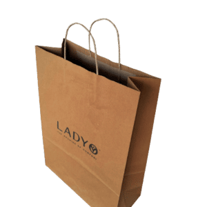 Paper Box Bag (Standard)