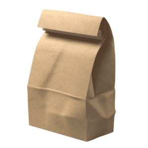 Paper Parcel Bag